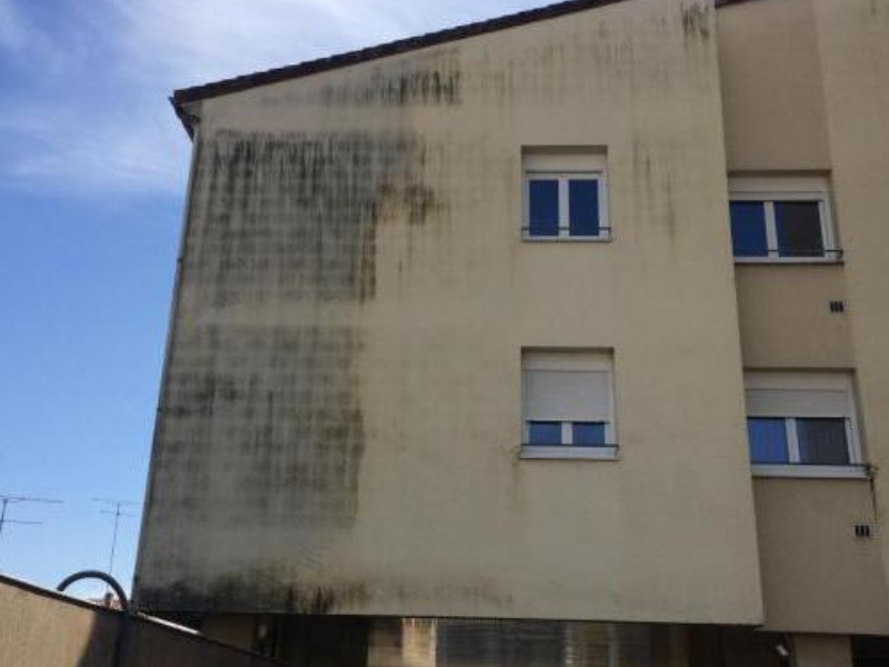 Rover Peinture Entreprise De Peinture Agen Realisations 2 1